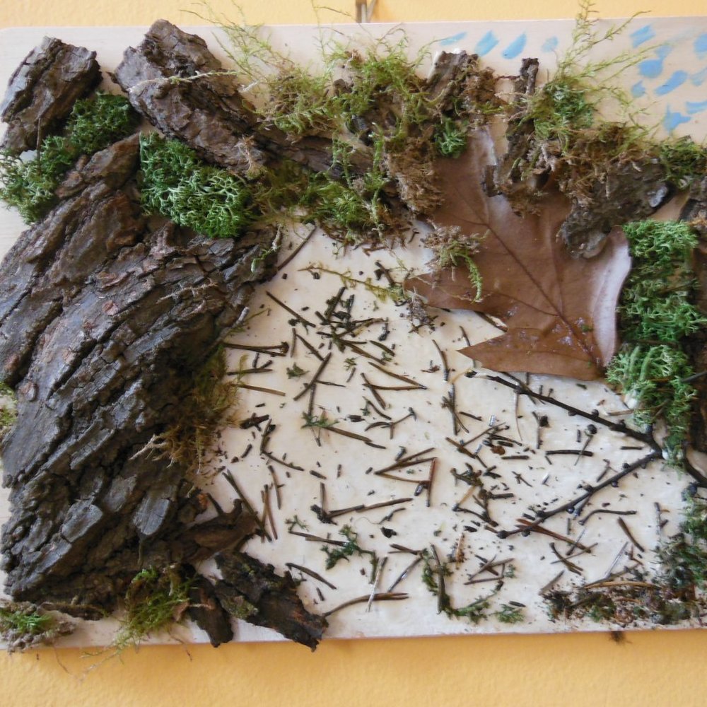 Moss & Bark Original Artwork